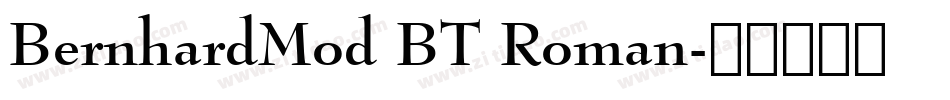 BernhardMod BT Roman字体转换